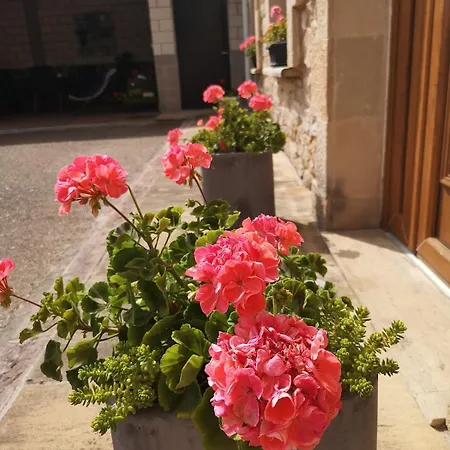 アパート Casa Castillo I Arenas de Iguña